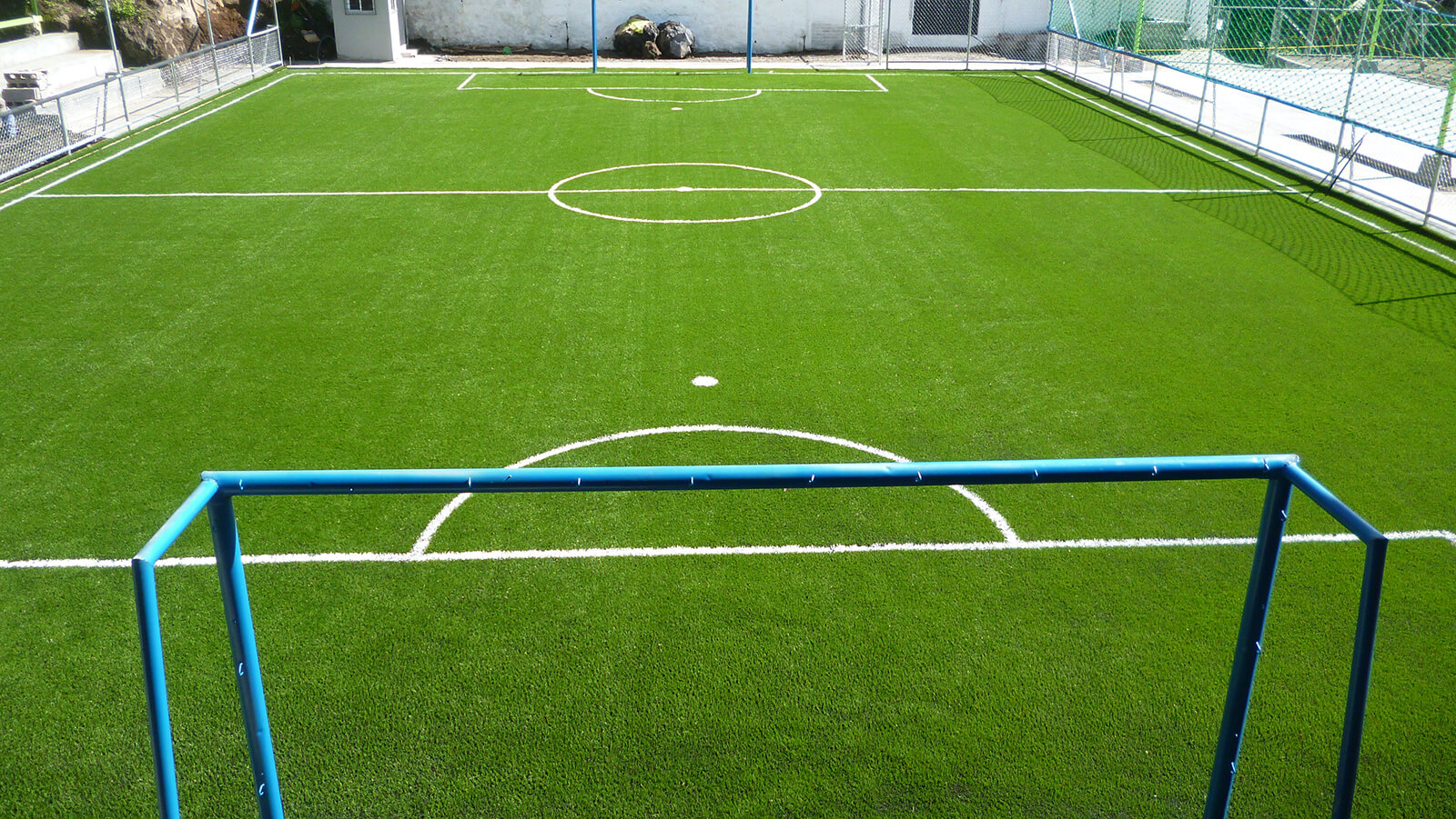 Césped deportivo
